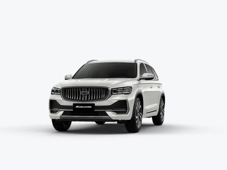 Сервис и ремонт Geely MONJARO в Железнодорожном (Балашиха)
